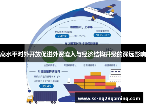 高水平对外开放促进外资流入与经济结构升级的深远影响 高水平对外开放促进外资流入与经济结构升级的深远影响