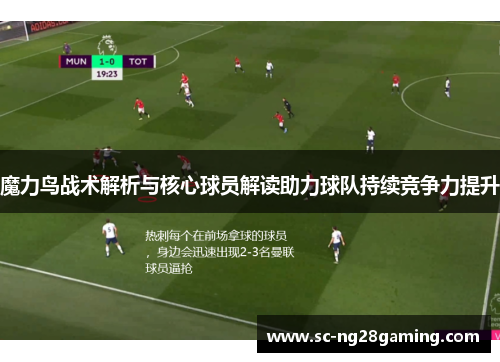 魔力鸟战术解析与核心球员解读助力球队持续竞争力提升