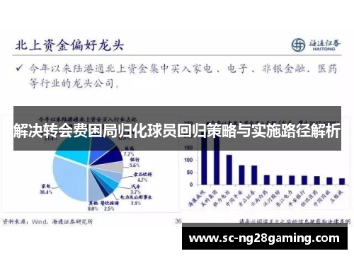 解决转会费困局归化球员回归策略与实施路径解析