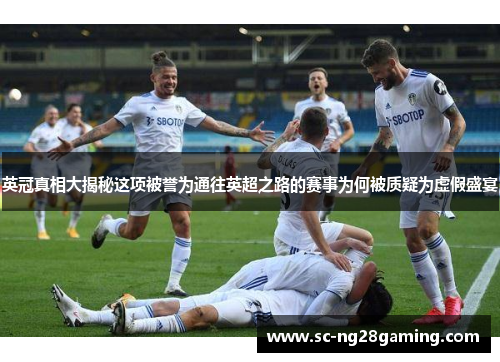 英冠真相大揭秘这项被誉为通往英超之路的赛事为何被质疑为虚假盛宴