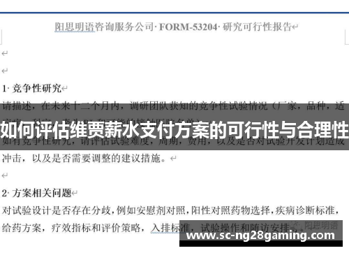 如何评估维贾薪水支付方案的可行性与合理性